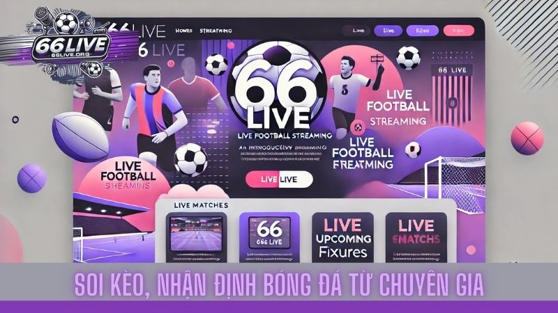 66Live ®️ Nền tảng trực tiếp bóng đá uy tín cho người hâm mộ