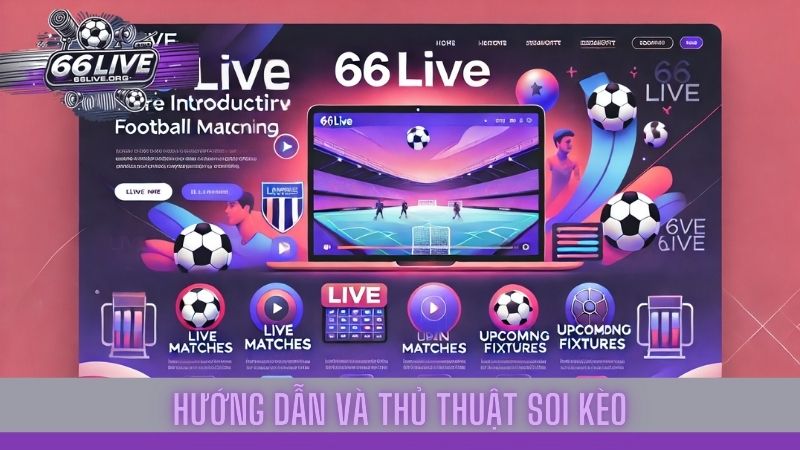 66Live ®️ Nền tảng trực tiếp bóng đá uy tín cho người hâm mộ