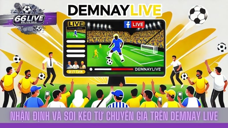 Demnaylive - Trang trực tiếp bóng đá hàng đầu cho bạn