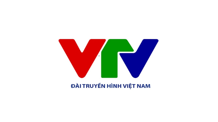 Đài Truyền hình Việt Nam (VTV)